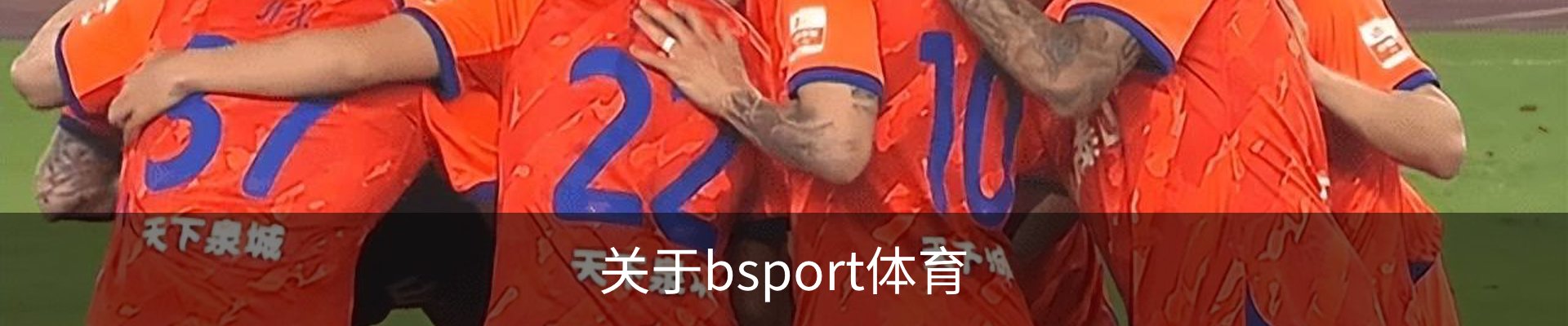 关于bsport体育